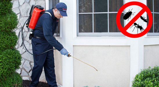 Hınıs Dezenfeksiyon böcek ilaçlama ve haşere kontrolü — ilaclama-tr.com